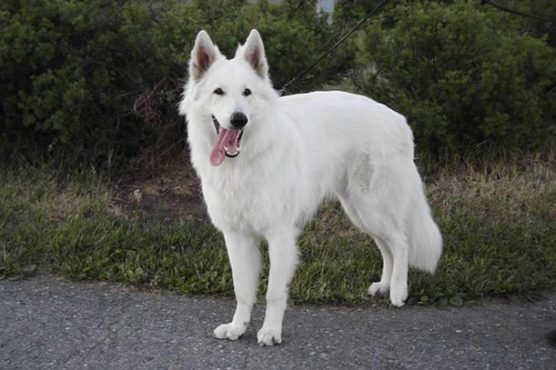 Etu 1 Jahr in Finnland